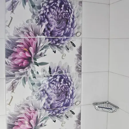 公寓 Antos Deluxe 康斯坦察